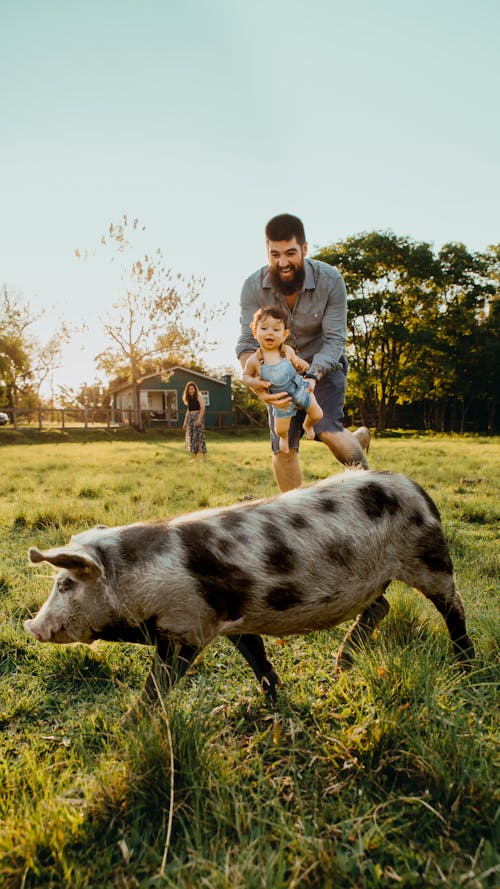 Father And Child Playing With A Pig