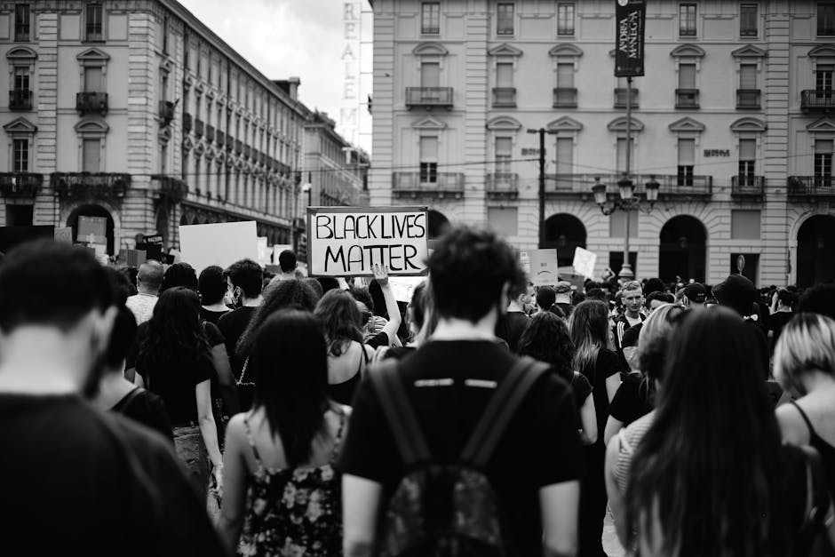 stem vs public schools