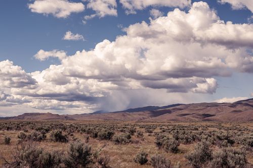 Free Vibrant blue sky covered with heavy clouds above bushes in big meadow and slopes covered with grass Stock Photo