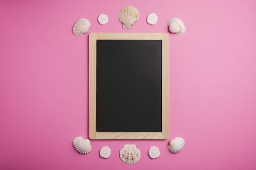 Black framed board surrounded by seashells