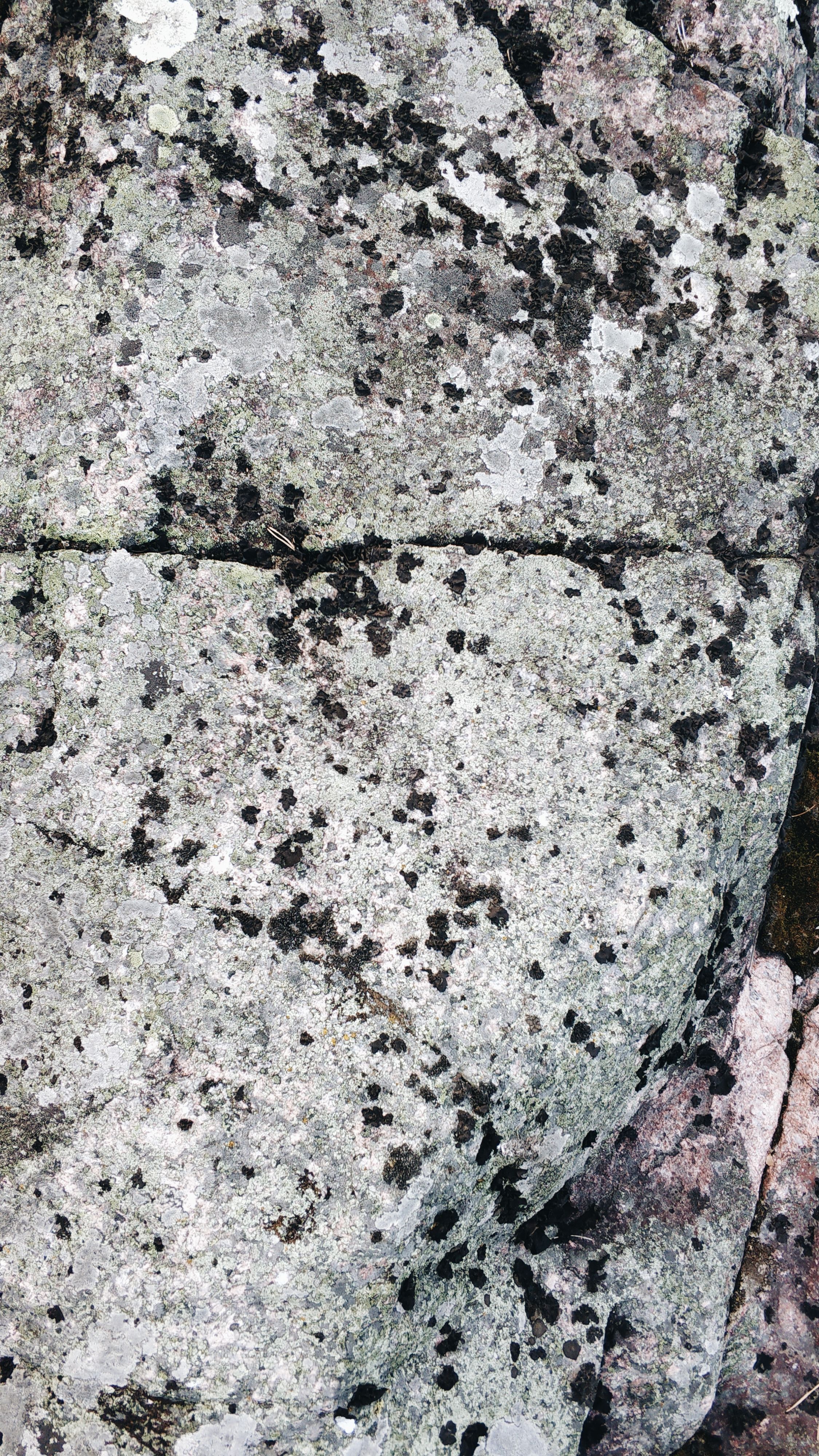 Uneven surface of rough rocky formation with moss and scratches as abstract background