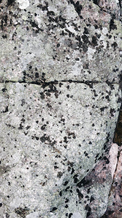 Texture of rough solid stone as background