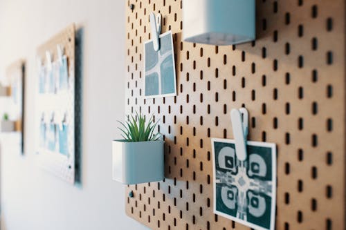 Various photos and decorative potted houseplants arranged on stylish wooden board hanging on wall