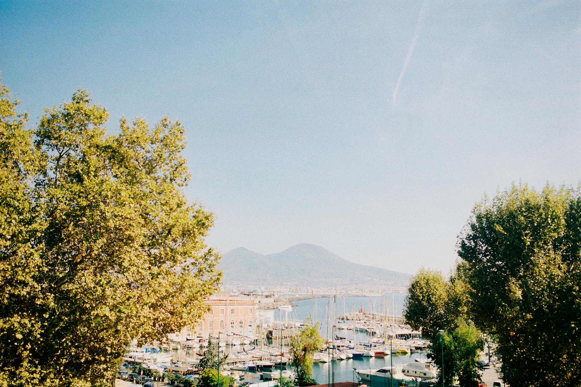 A scenic view of Naples harbour with Mount Vesuvius in the background, framed by lush trees.