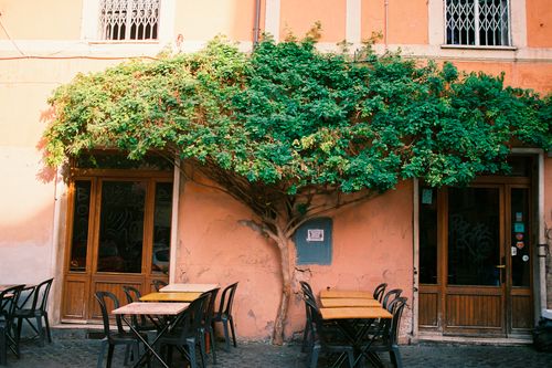 Free A quaint outdoor café with table seating under a large tree, set against a rustic building wall. Stock Photo