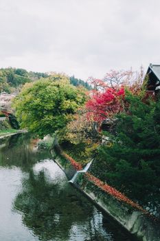 日本乡村河流的秋日美景，树木倒映在水中