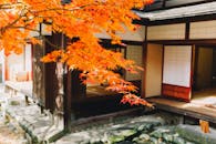 传统的日本房屋映衬着充满活力的秋叶，展现出宁静的美丽