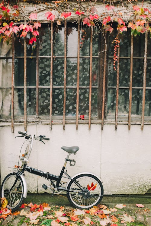 Folding Bicycle Under a Barred Window