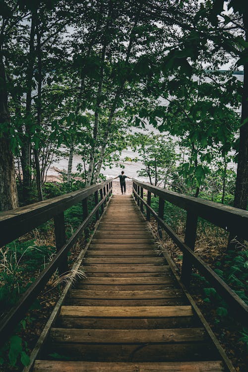 Back View of Person At The Foot Of A Wooden Staircase