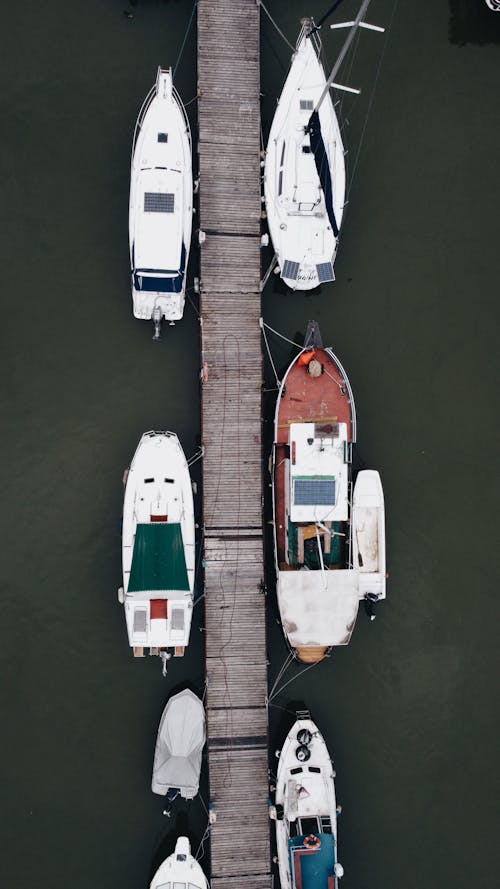 Boats moored on wooden pier