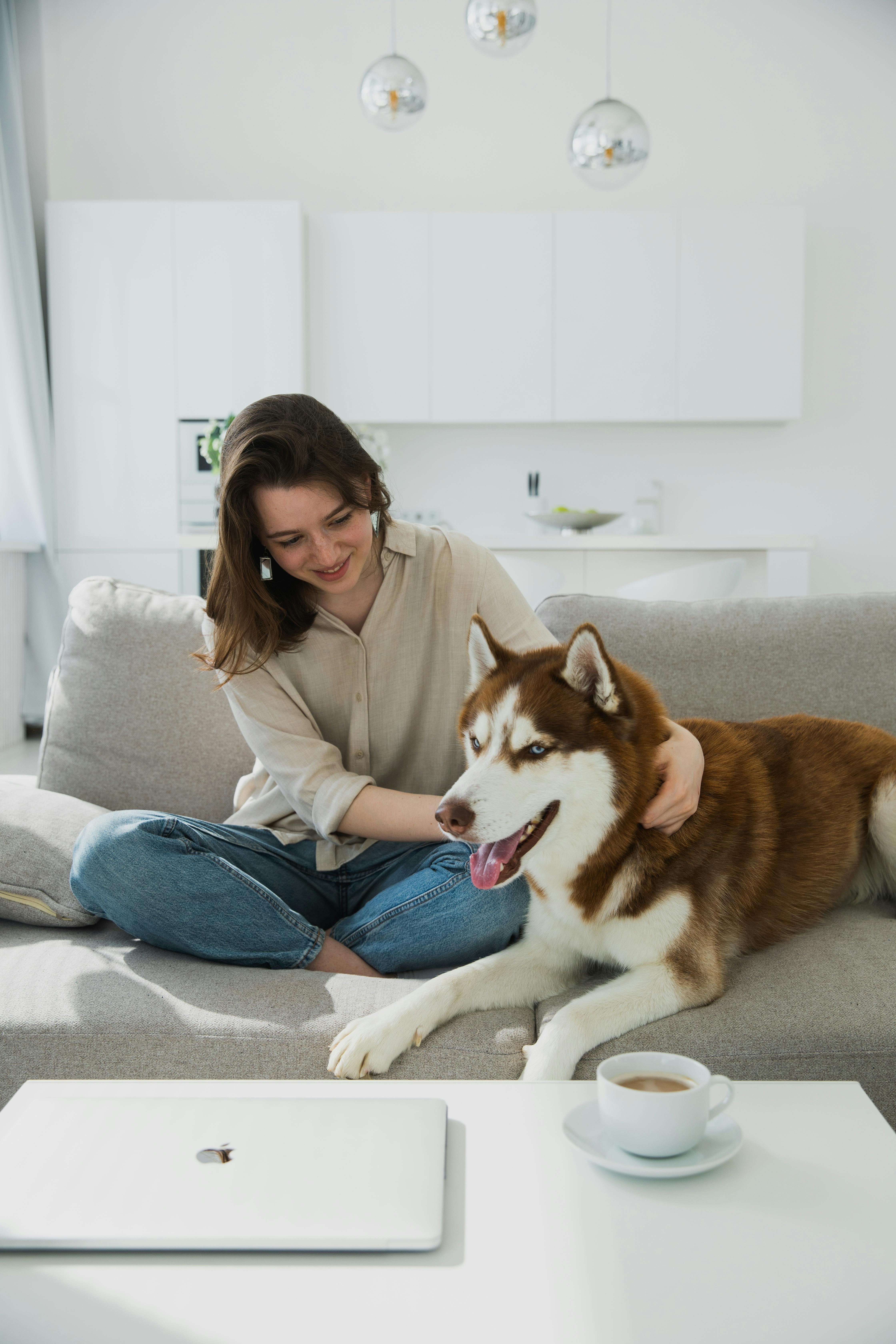 一位年轻女子和她的西伯利亚哈士奇犬一起躺在现代客厅的沙发上放松
