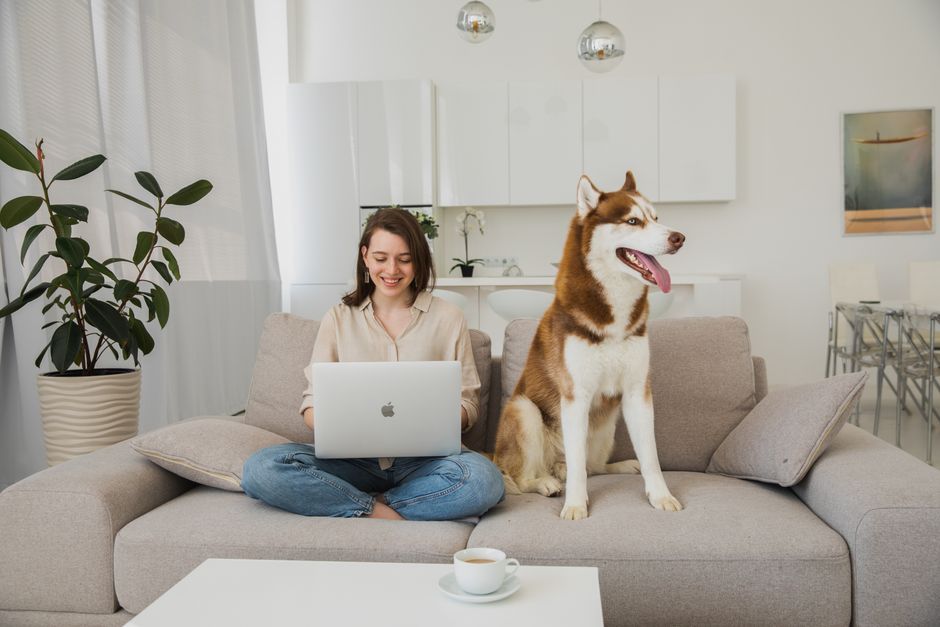 7 Hidden Health Issues Specific Dog Breeds Commonly Face A young woman smiles while using a laptop next to her Siberian Husky on a sofa.