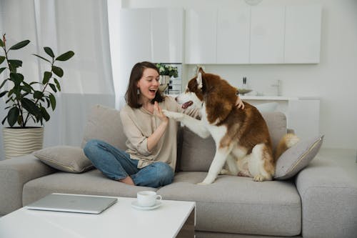 A Young Woman Sitting on a Sofa Playing with her Dog 