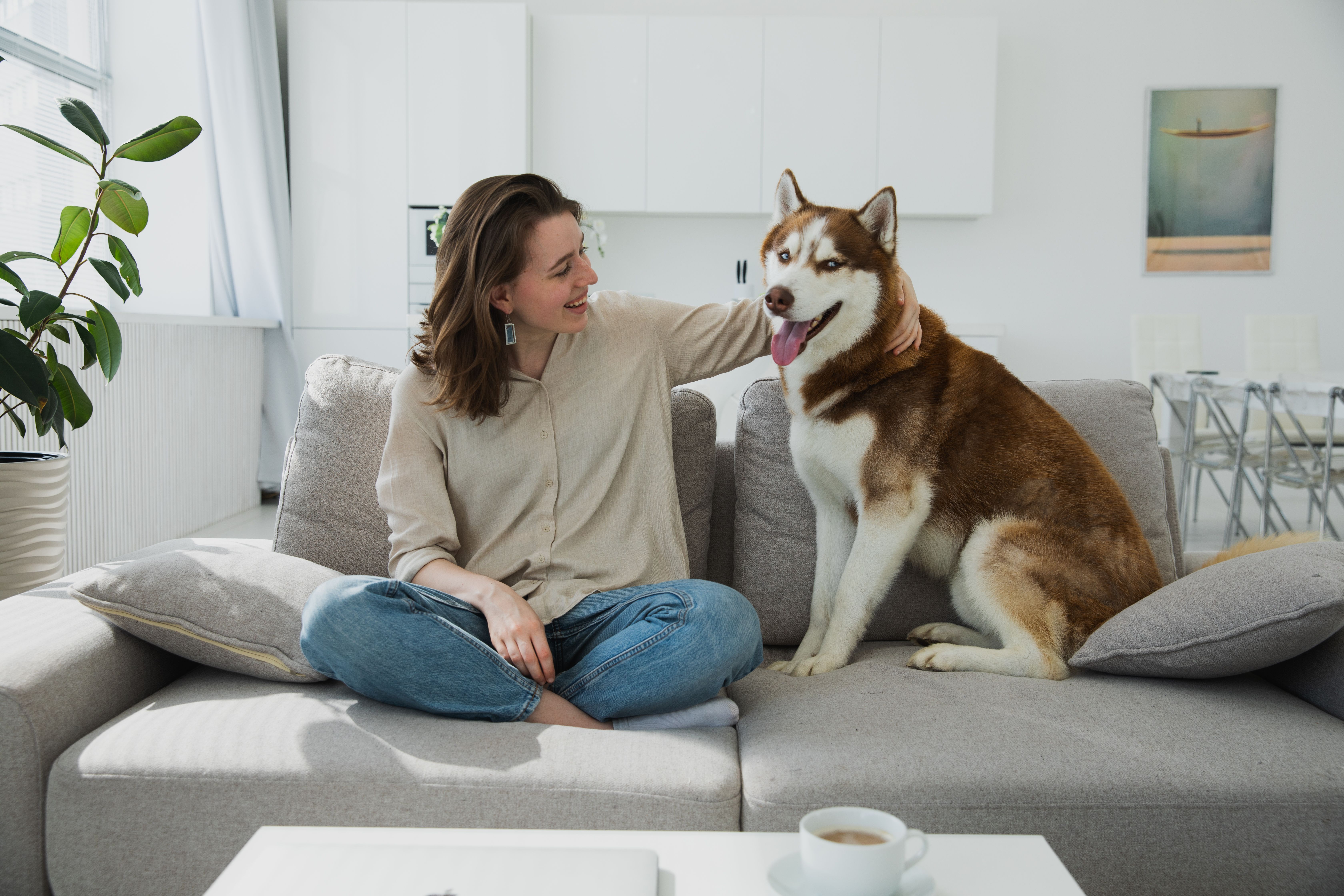 Financing for Fido? Pet insurance gains attention as lifetime costs for pets soar — Photo by KATRIN  BOLOVTSOVA on Pexels