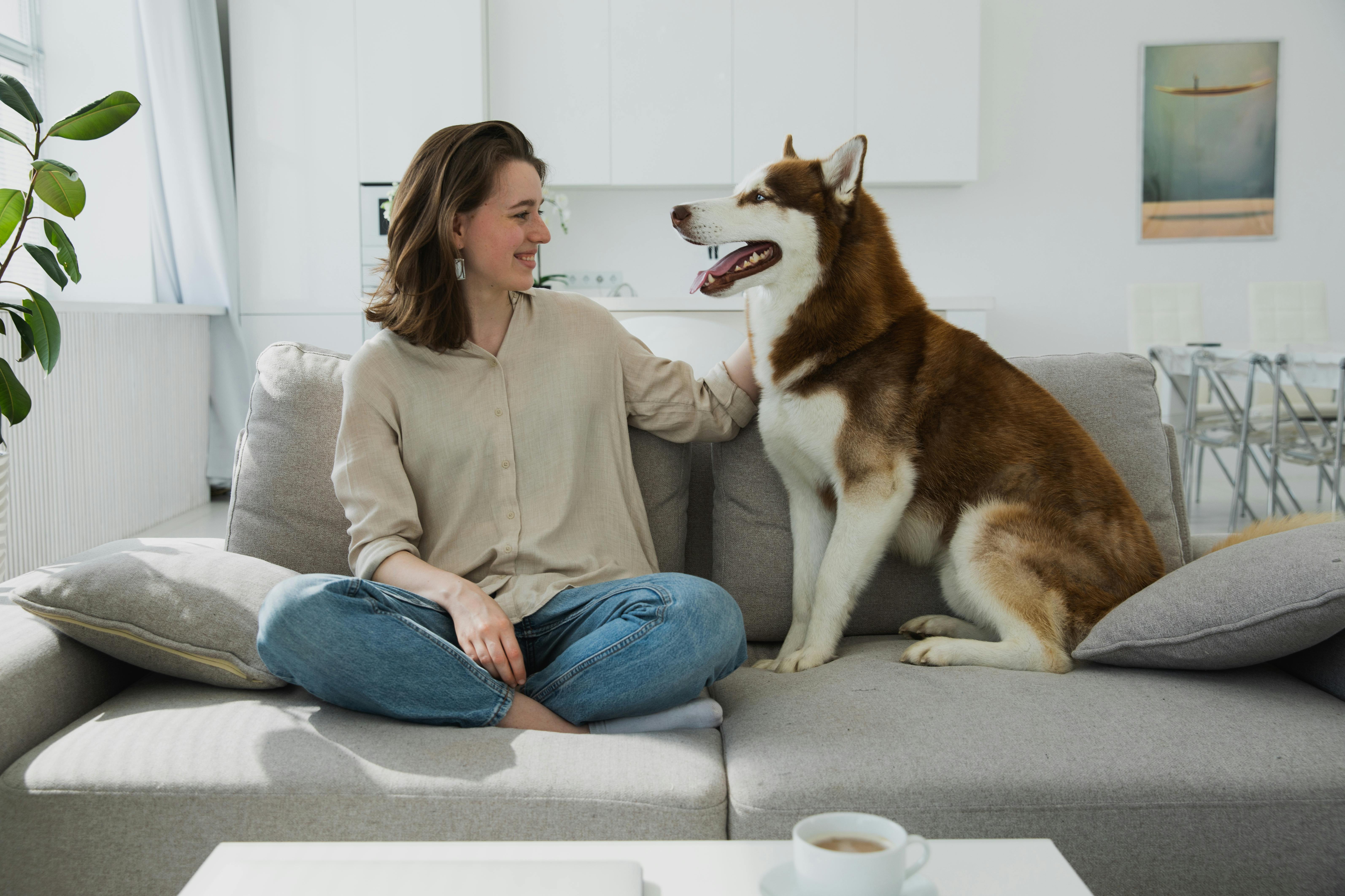 Pet insurance costs and coverage in New Jersey — Photo by KATRIN  BOLOVTSOVA on Pexels
