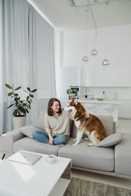 Free Woman Petting Her Husky Dog on a Couch Stock Photo