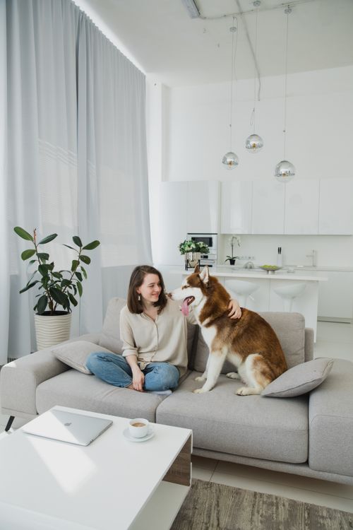 Free Woman relaxing with a Siberian Husky on a modern sofa in a Scandinavian-themed living room. Stock Photo