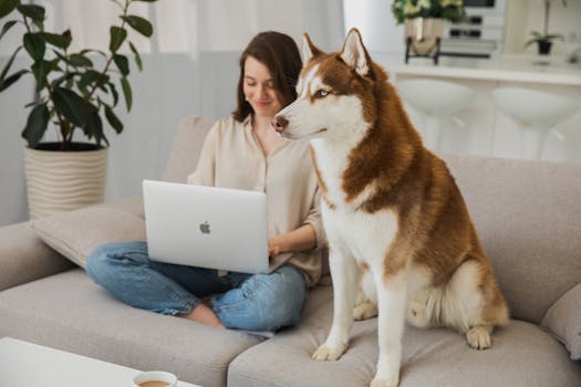 Woman sitting on sofa, working on laptop with her Siberian Husky. Cozy home office vibe.