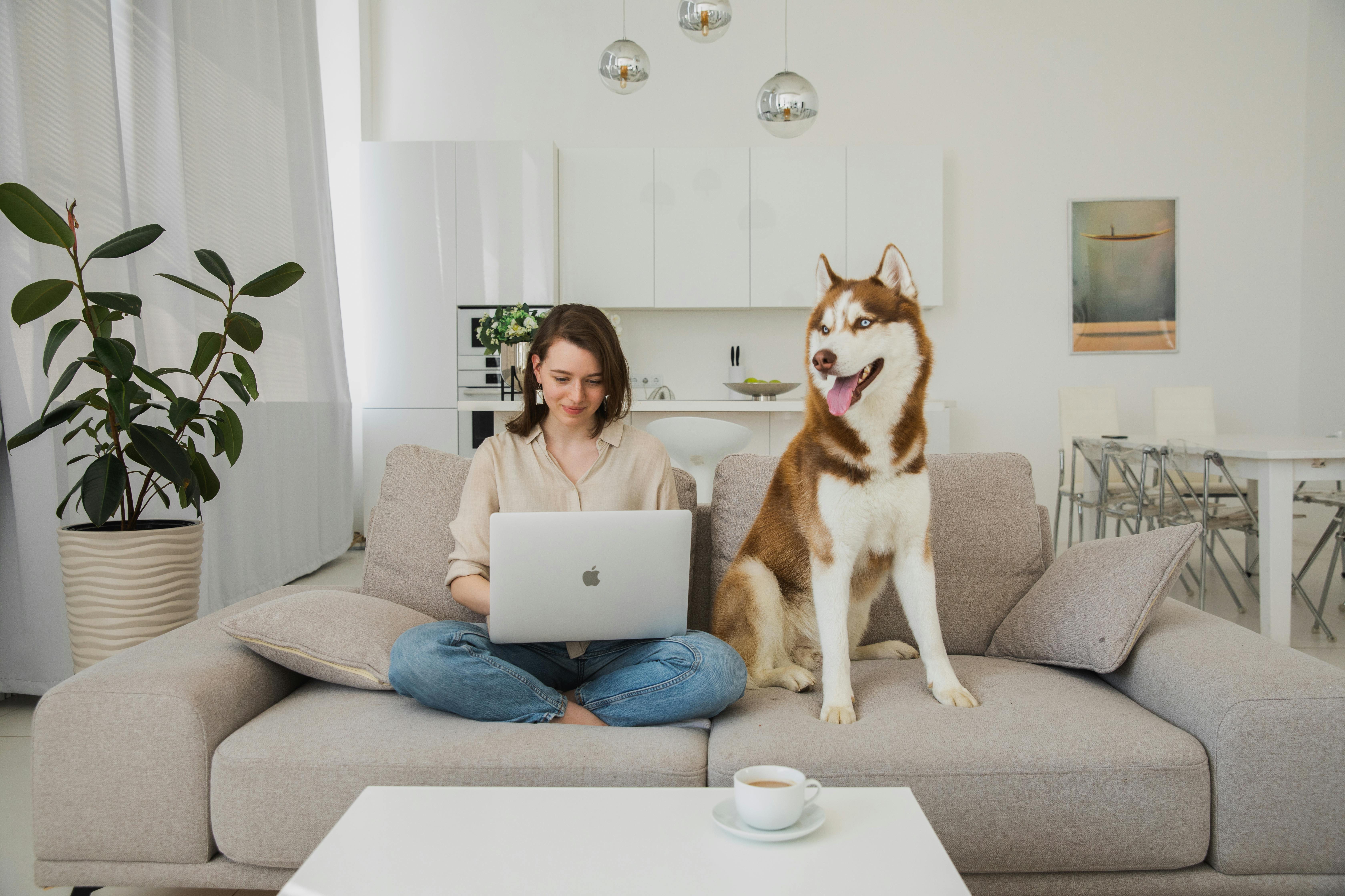 Woman Using Laptop on a Sofa and a Husky Dog Sitting Next to Her