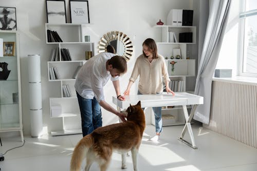 Free Man Petting His Husky Dog in a Home Office Stock Photo