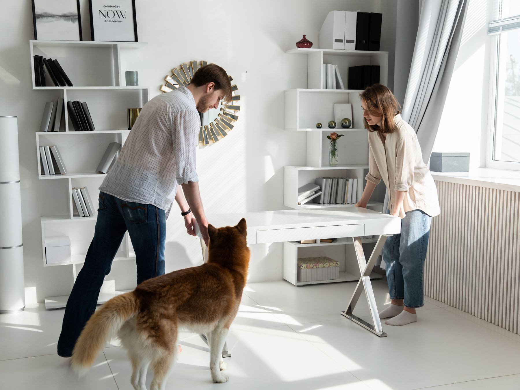 Abbotskerswell — office relocation team moving desks and equipment