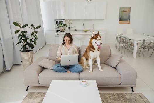 Woman working on a laptop with a Siberian Husky in a modern living room.