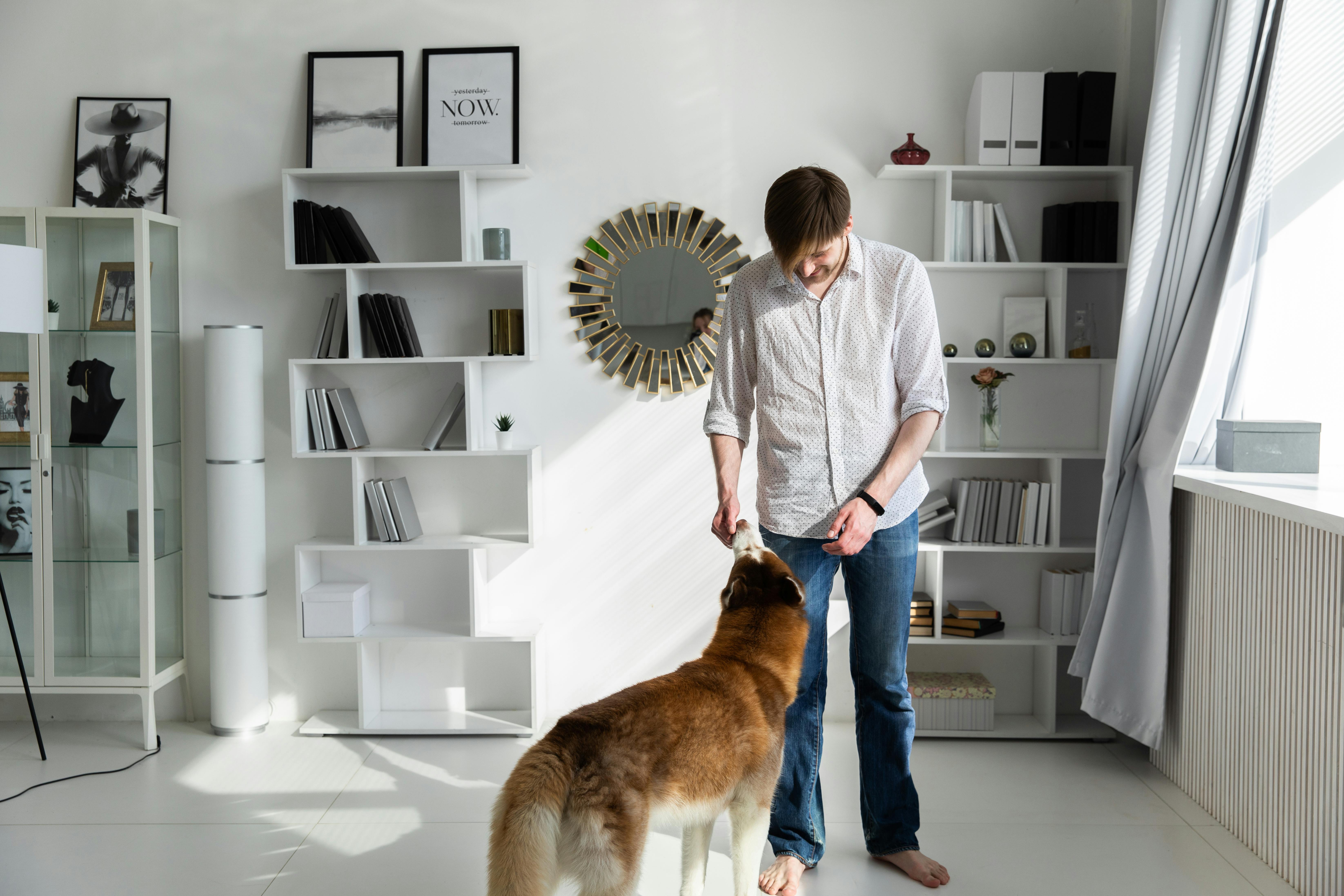 在一间阳光明媚、装饰时尚的现代房间里，一名男子正愉快地与他的狗互动