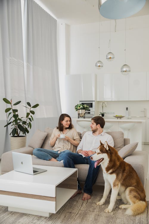 Free Man and Woman Sitting On A Couch Beside Their Dog  Stock Photo