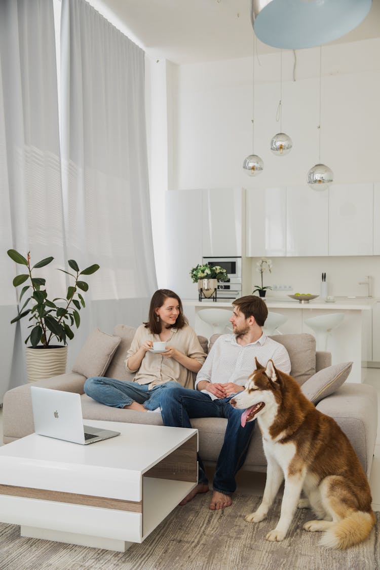 Man And Woman Sitting On A Couch Beside Their Dog 