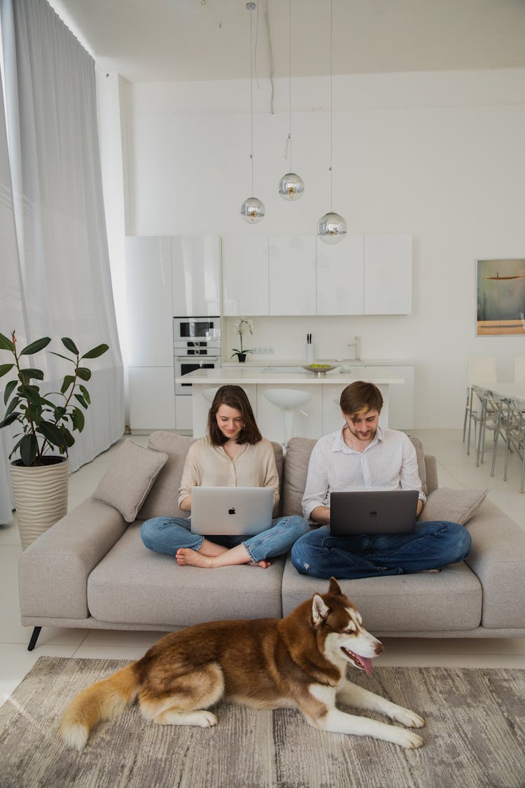 Couple Sitting On Sofa With Laptops