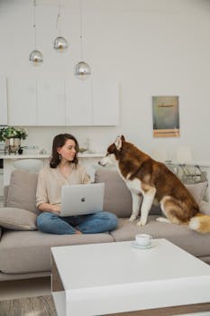 A relaxed moment in a modern living room with a woman on a laptop and her Siberian Husky on the sofa.