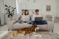 一对夫妇和他们的哈士奇在室内的沙发上，一起用笔记本电脑远程工作