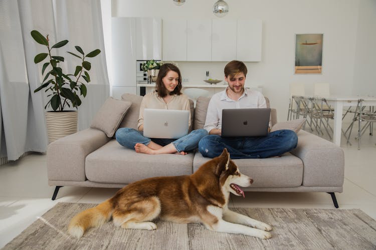 Couple With Laptops On Sofa