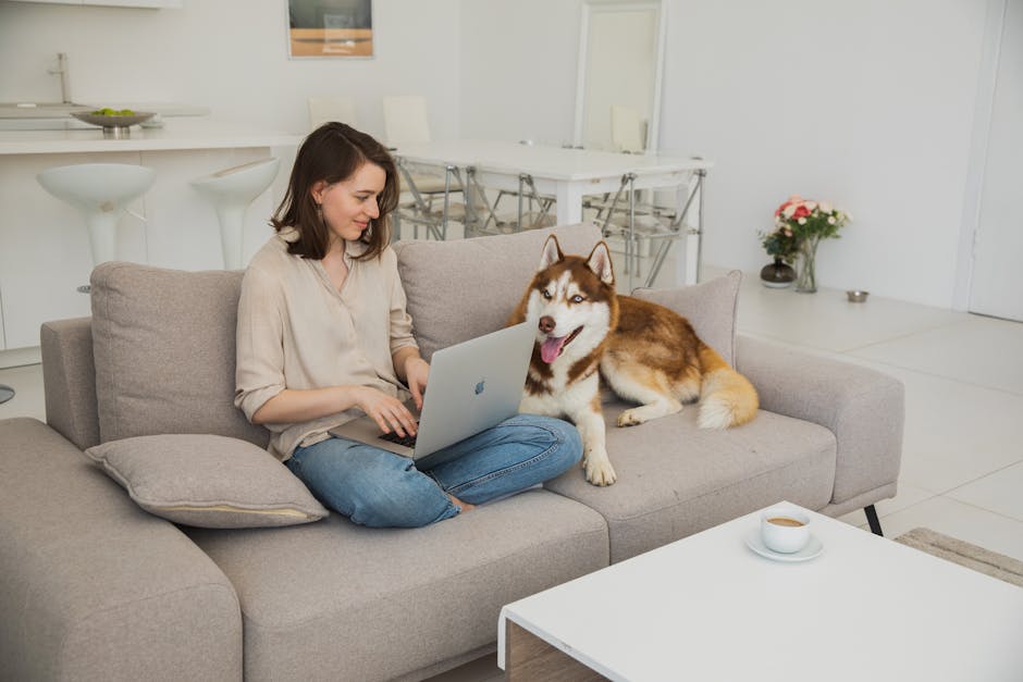 What Pet Food Labels Reveal About Protein Quality Woman working on laptop with a husky dog beside her on a cozy living room sofa.