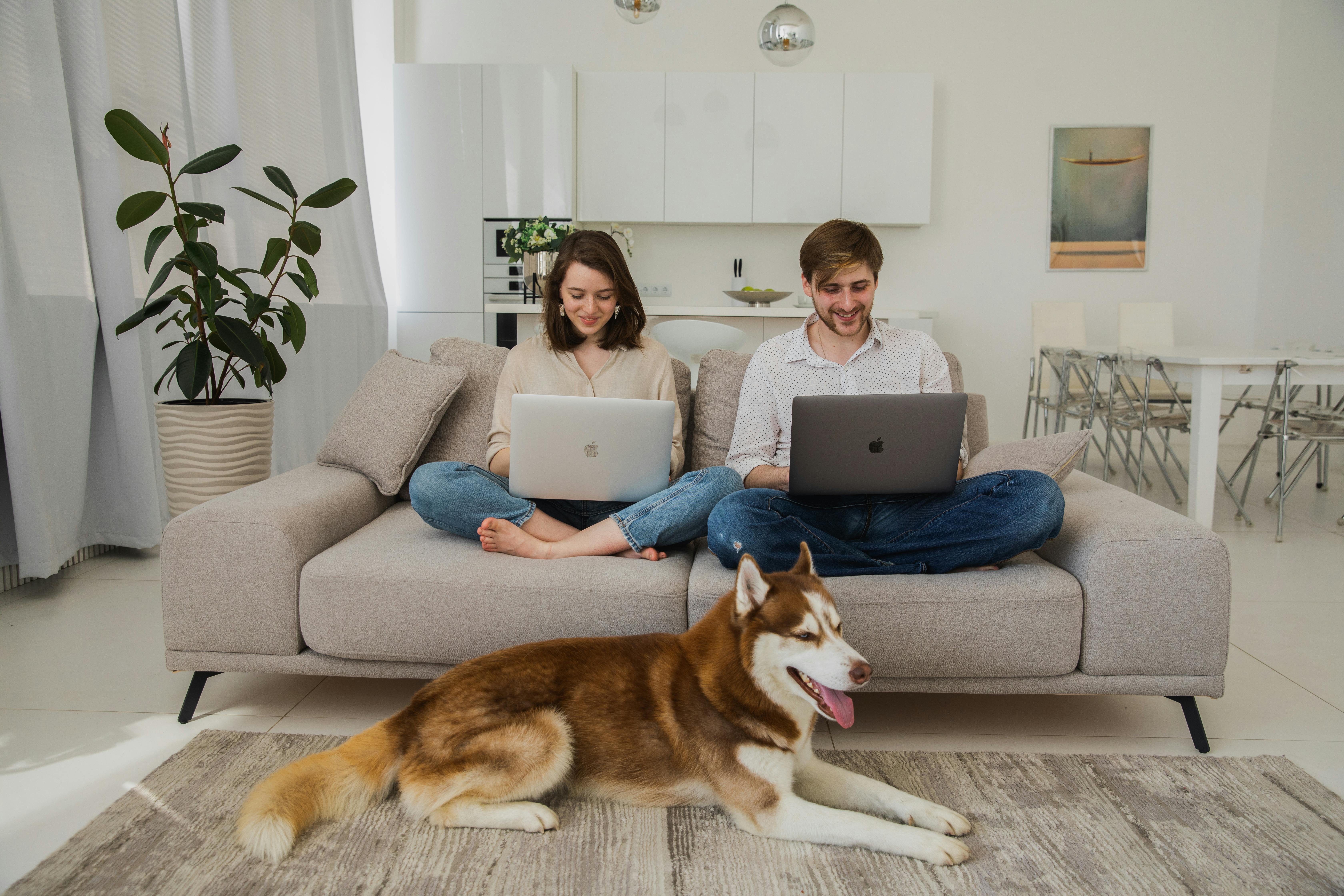 woman and man with laptops on sofa