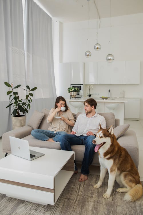Free Couple Drinking Coffee on the Sofa in a the Living Room  Stock Photo