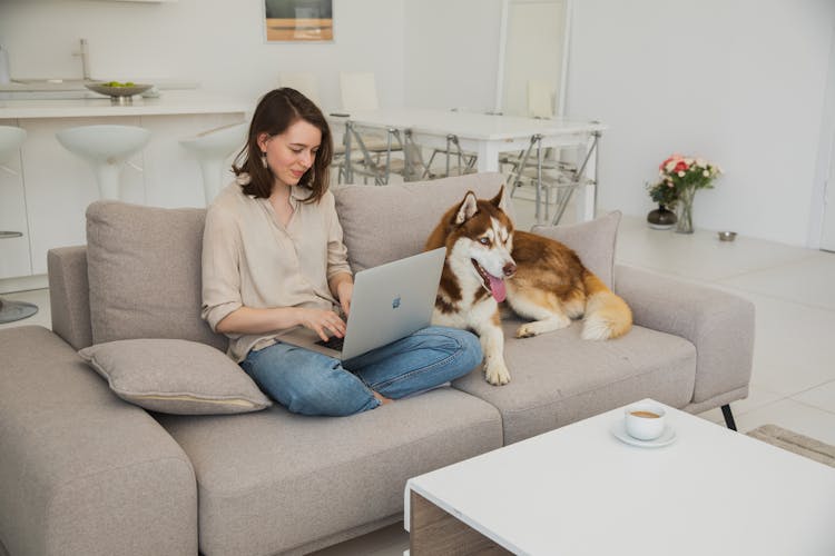 Smiling Woman With Laptop And Dog On Sofa