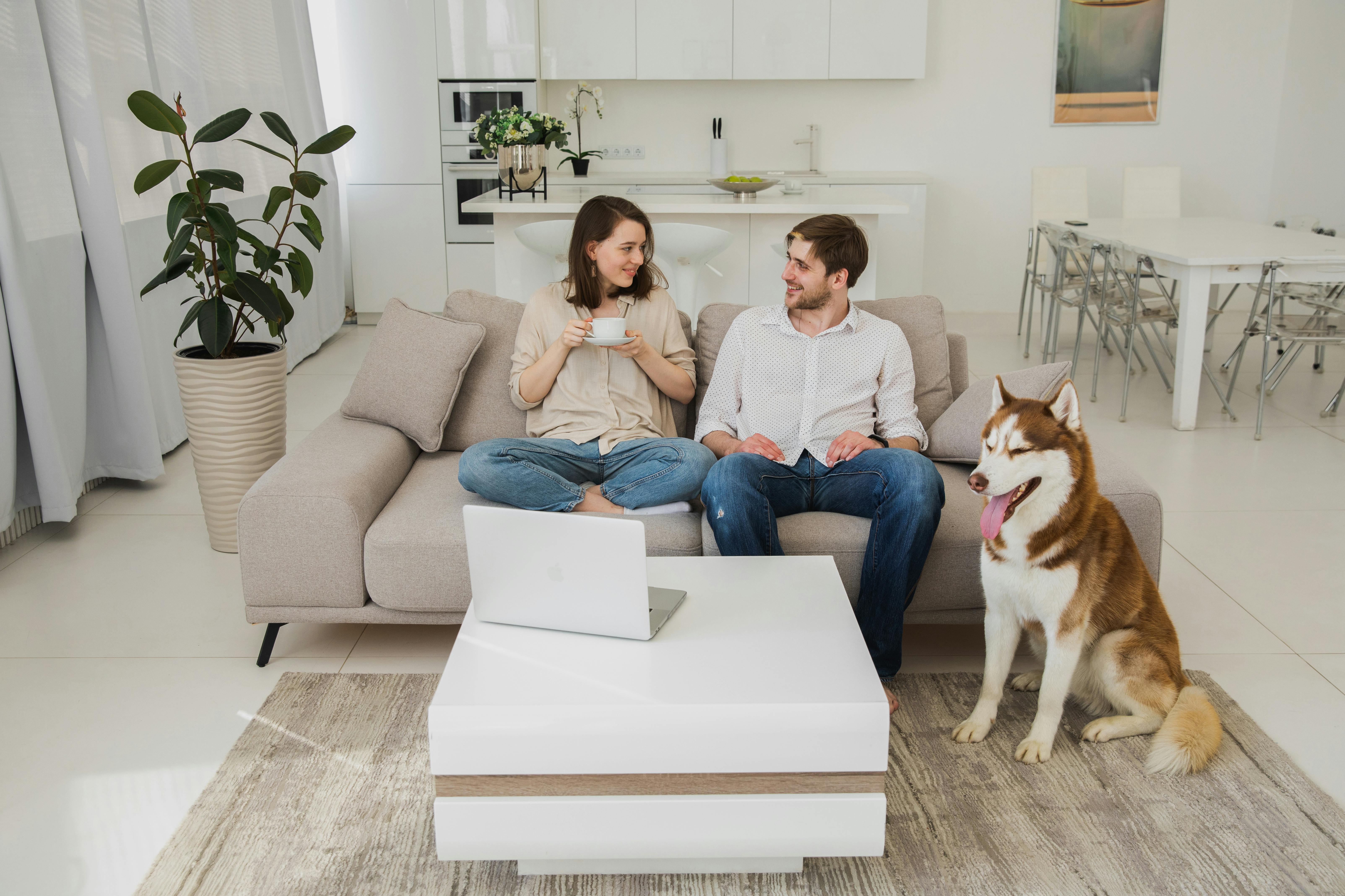 a couple sitting on a sofa with a dog