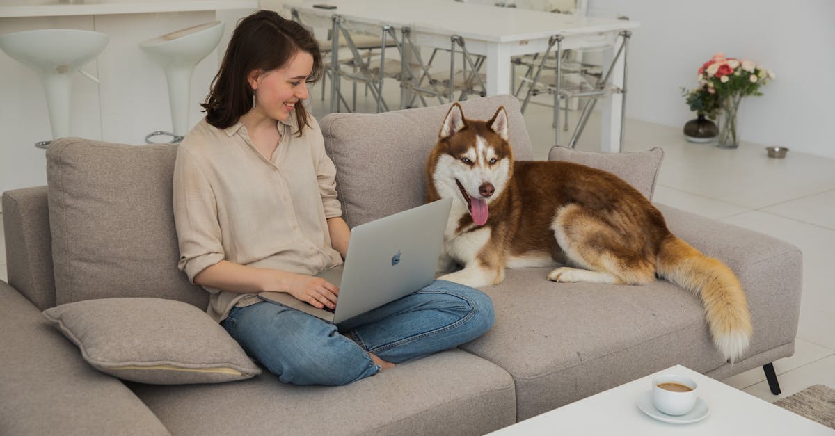 How long do husky mix dogs live