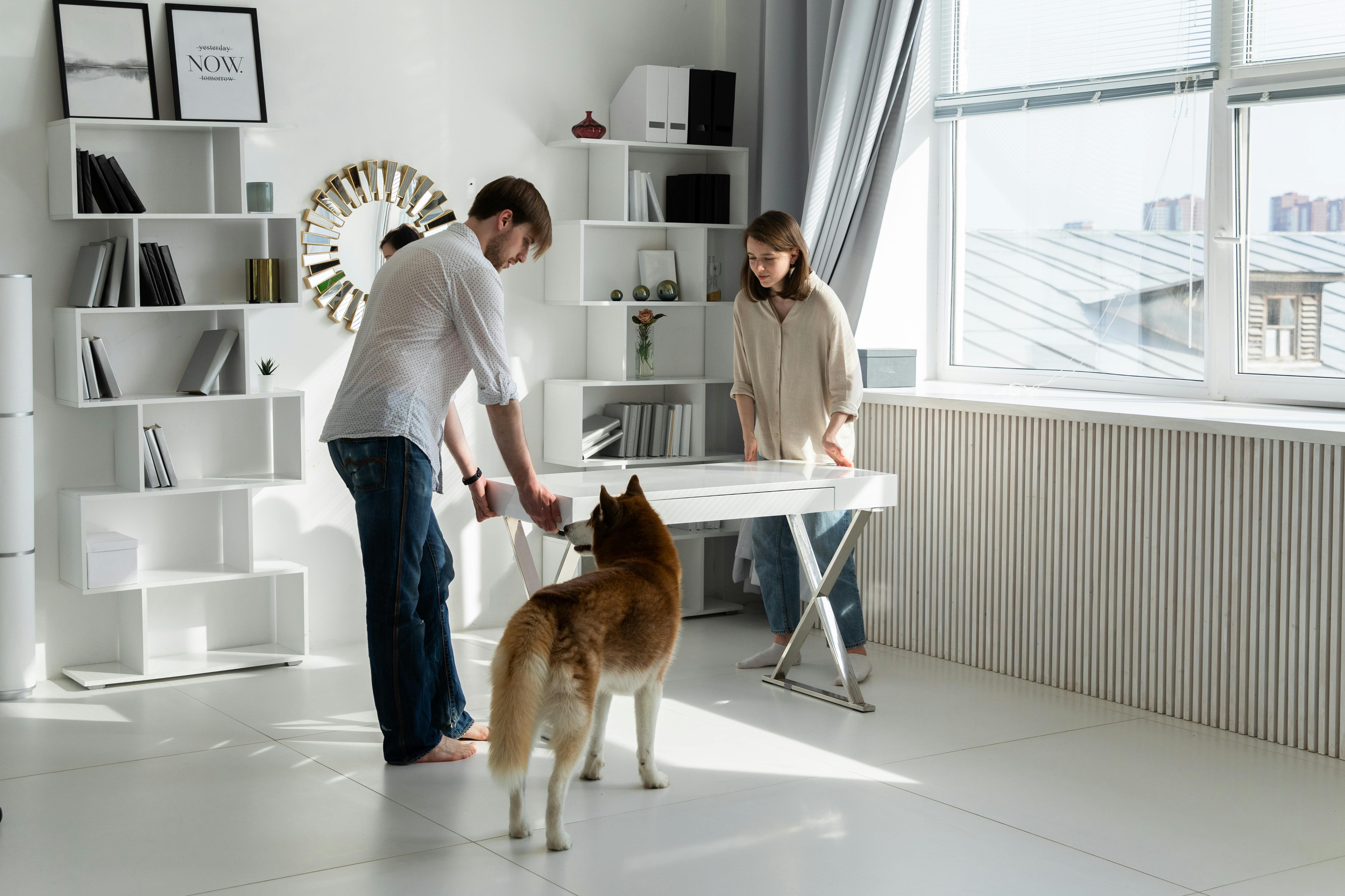 在一间明亮的房间里，一对夫妇设立了家庭办公室，他们的宠物狗在一旁看着