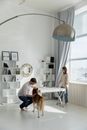 Woman in White Long Sleeve Shirt Sitting on White Chair Beside Brown Dog