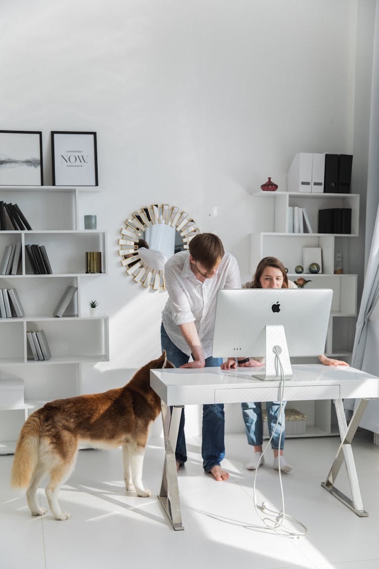 Woman And Man Setting Up Computer