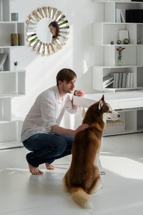 Man in White Dress Shirt and Blue Denim Jeans Sitting Beside Brown and White Dog