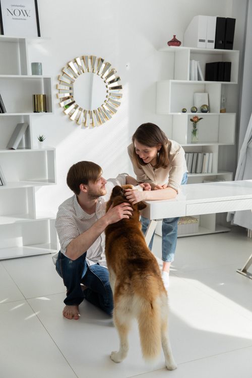 Free Smiling couple interacting with their pet dog in a bright, modern living room. Stock Photo