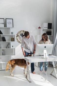 A happy couple working with their dog in a bright modern office.