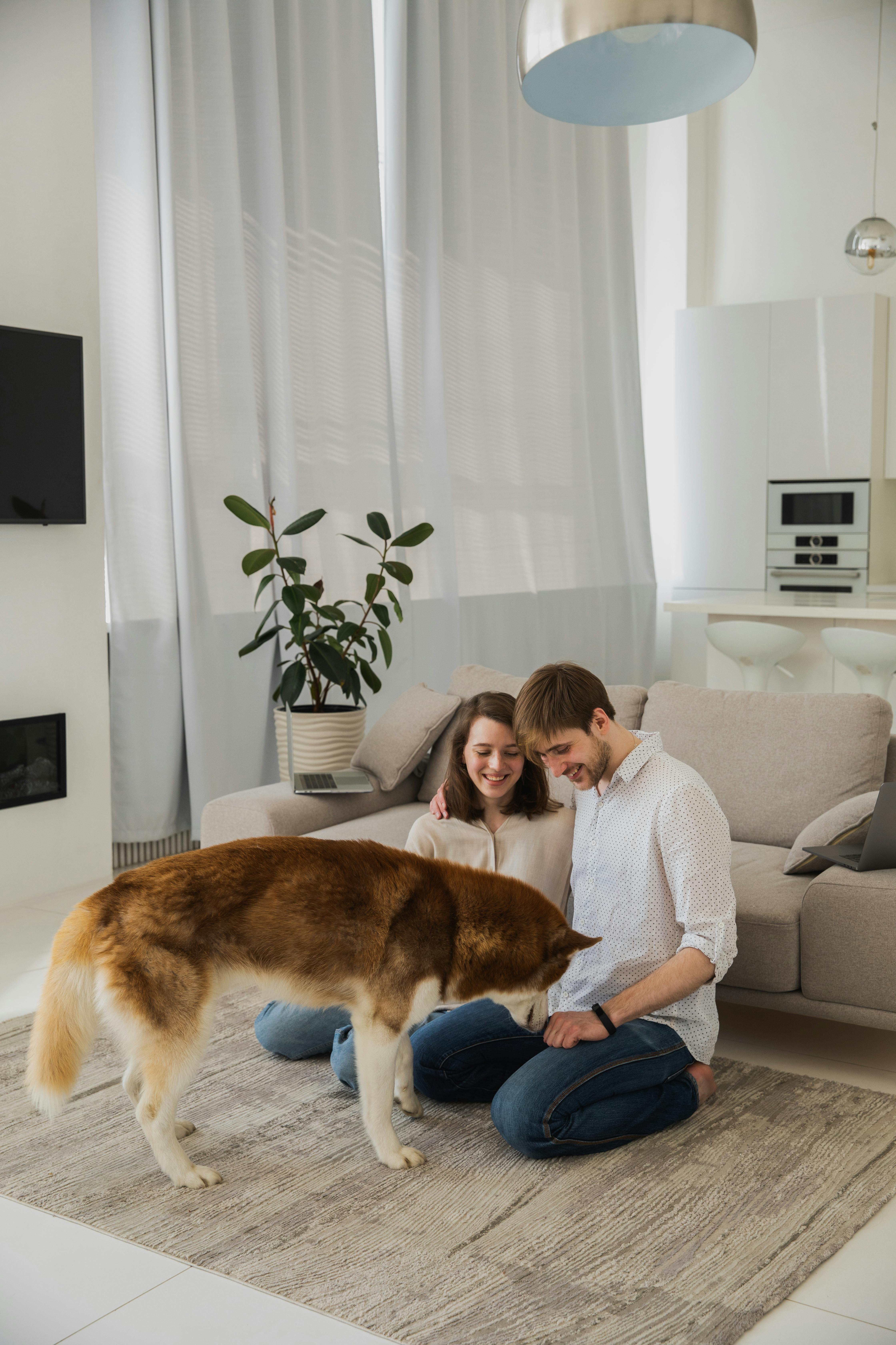 smiling couple with dog in living room