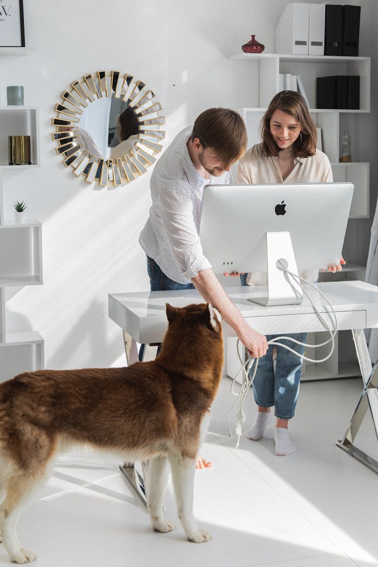 Couple Setting Up Computer In Home Office