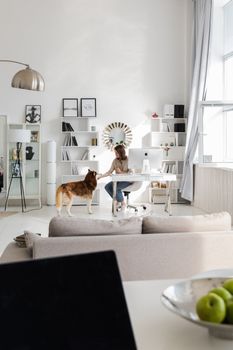 Bright contemporary home office with a woman working on a computer and a dog nearby.