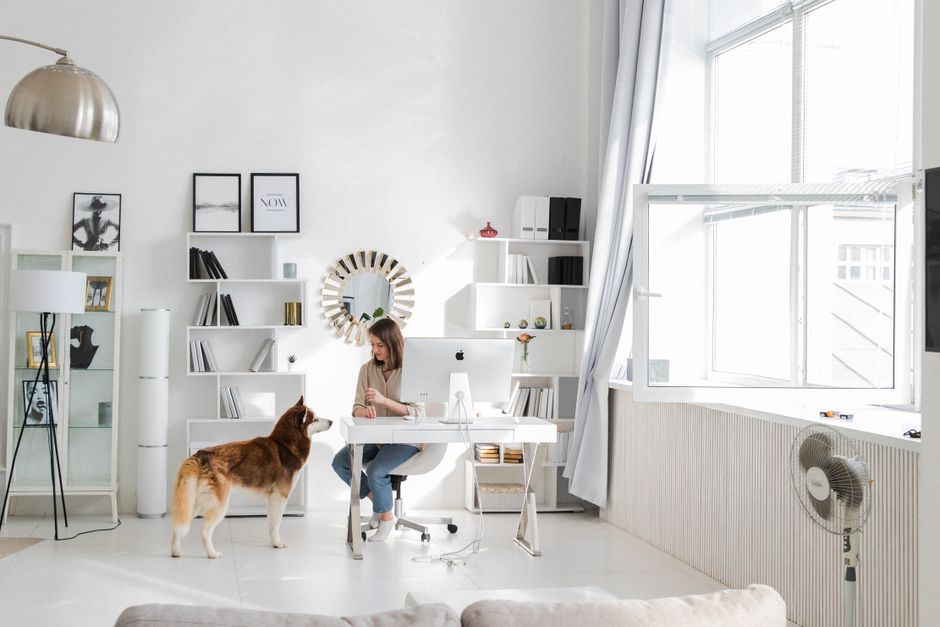 busy home routine surface natural light lifestyle photo 2