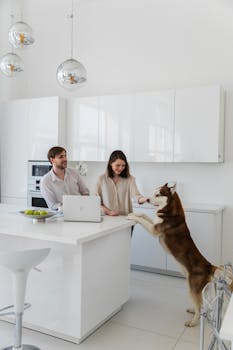 A couple interacts with their Husky dog in a sleek, modern kitchen setting.